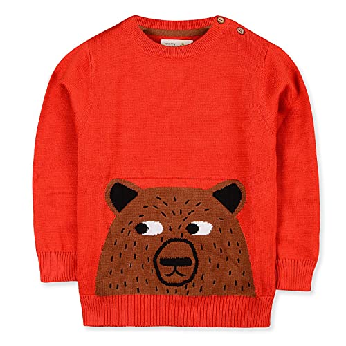 Image of Kids Boys Round Neck Full Pullover Sweater