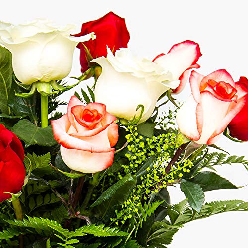 Ramos de 12 rosas naturales a domicilio variado Túnez - Flores frescas - Envío a domicilio 24h GRATIS - Tarjeta dedicatoria incluida - Caja especial para ramos de flores naturales...