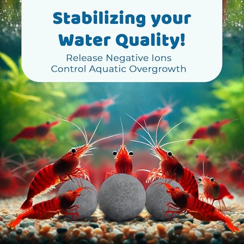 Image of SunGrow Shrimp Balls, Aquarium Water Conditioner Balls, Successful Shedding, Increase Survival Rate, Impart Vibrance, Cool Decor with Wellness Benefits