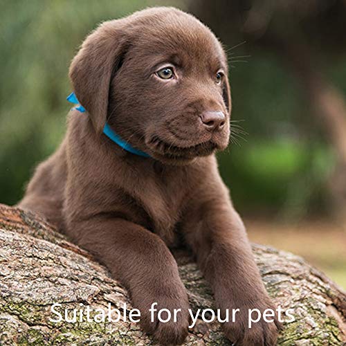 Nail File 21Ct 100/180 Grit Emery Board Filer For Acrylic/Natural Fingernail #TOP5