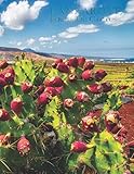  SPAIN Lanzarote, Jardin de Cactus, Notebook Blank Interior, César Manrique, great notebook for school, work, home, students, birthday and traveller ... numbering: Canary Islands, Lanzarote, Spain,