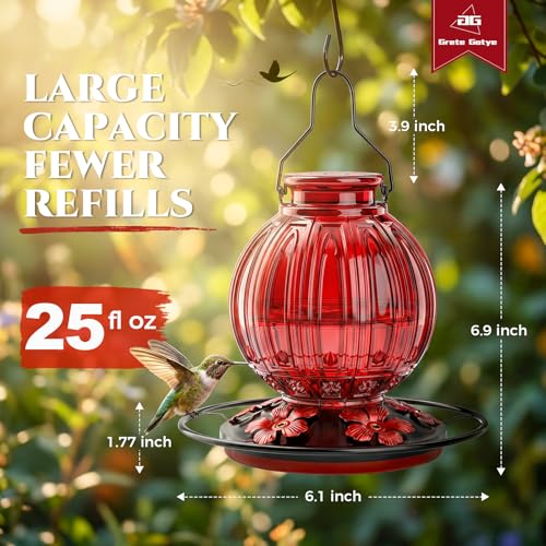 image for Grete Gotye Glass Hummingbird Feeder for Outdoors Hanging, 24Oz Bird N