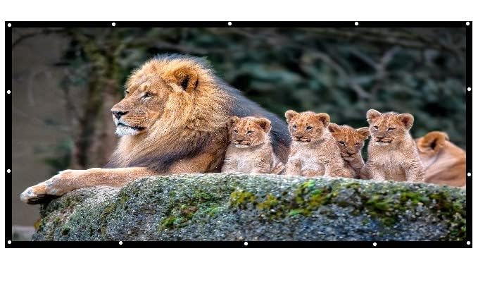 Image of Upgraded 300 inch Projector Screen,4K 4:3 Portable Eyelet Premium Video Foldable Projection for HD Home Theater Cinema Anti-Crease Indoor Outdoor Office Classroom (610 cm (W) x457 cm (H))#