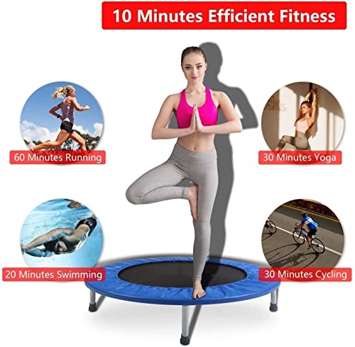 Image of Let's Play Imported Trampoline Jumping Trainer for Kids and Adult, Re-Bounder Trampoline with Metal Springs and Padding for Indoor and Outdoor (36 Inch)