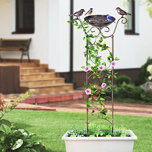 Desgully Banheira para pássaros com treliça de jardim para plantas trepadeiras ao ar livre, com tige
