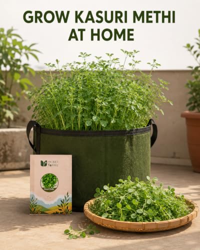 Image of Spinach, Coriander & Kasuri Methi Seeds Combo, Pack of 3
