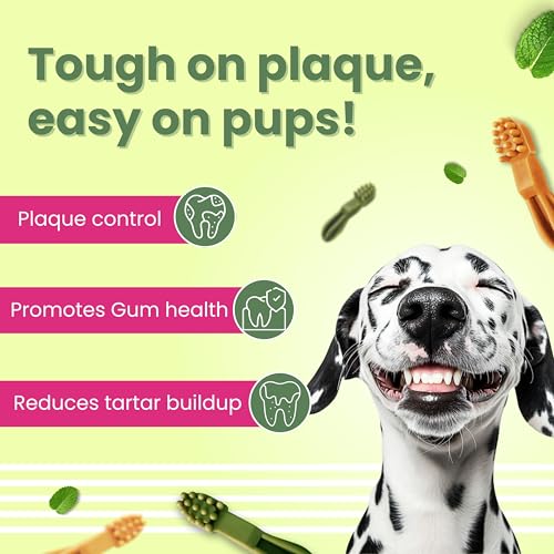 Image of BARK Out Loud - Dental Treats | Brush Shape Dog Chews | Removes Plaque /Tartar | Fresh Smell | Oral Care Gluten Free| Chicken Dog Treats- 200 GMS (100 gm x 2), All Life Stages, Stick