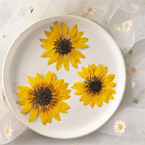 Flor seca natural para manualidades 2 piezas miniatura 3