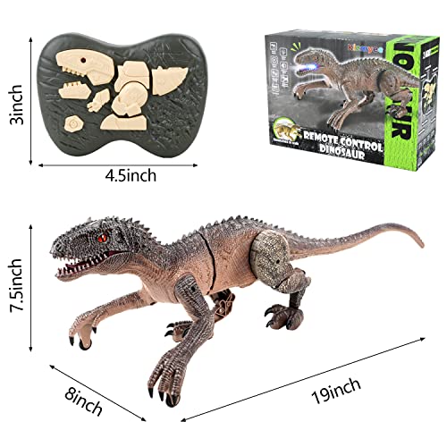 Kizmyee Dinosaurier Spielzeug, Dino Ferngesteuertes Velociraptor für Kinder, Realistische Gehbewegungen, Brüllt, Leuchtende Augen und Kopfschütteln, Geschenk für Jungen und Mädchen ab 3 Jahren