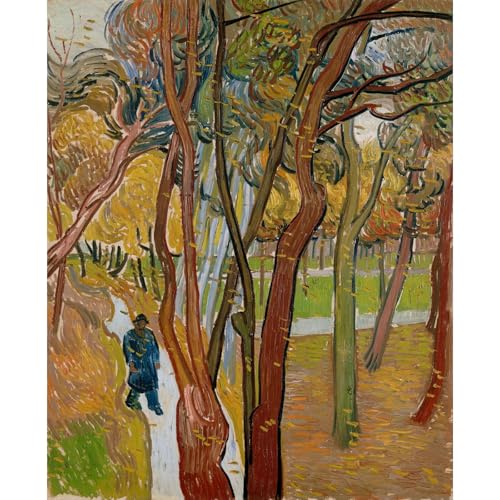 Van Gogh Le jardin de l'hôpital Saint Paul grand tableau salon chambre 76x101