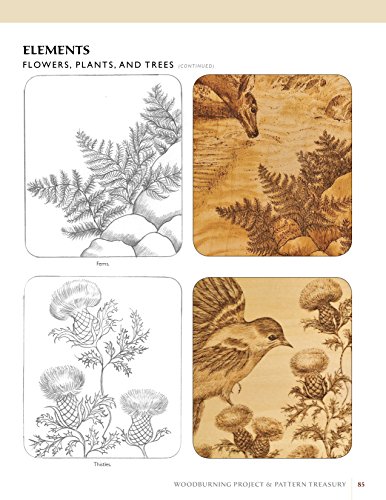 https://m.media-amazon.com/images/I/51BeHjt-HmL._SL500_.jpg