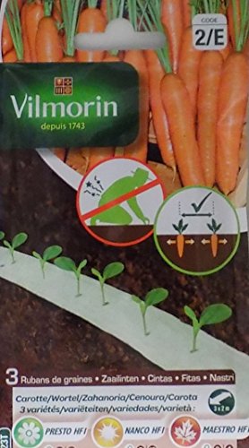 VILMORIN Ruban mélange graines Saison de Carottes : PRESTO, NANCO, MAESTRO - 3 x 2 m
