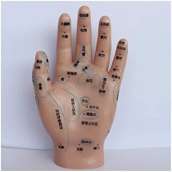 手足の骨膜反射療法 手穴点圧の秘訣 ヨドバシ.com - 手足の骨膜反射療法―手穴点圧の秘訣 [単行本