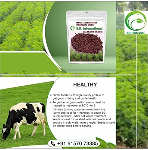Image of SK Organic Compatible with Hedge Lucerne (Velimasal Grass /Dasrath Grass) Seeds 500 GMS