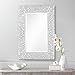 Noble Park Savla Textured Relief Silver 24" x 36" Wall Mirror