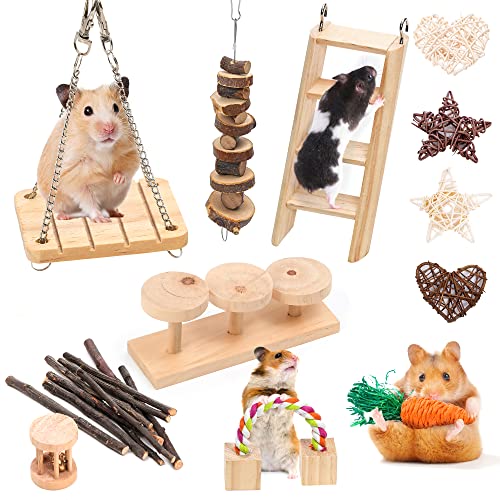 Smangy Hamster Toys 12pcs, Guinea Pig Toys, Wooden Hamster Accessories ...