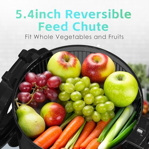 Eanoruus Cold Press Juicer, 400W Slow Juicer Machines With 5.4 Inch Wide Feed Chute, Masticating Juicer With High Juice Yield For Whole Vegetables & Fruits, Easy Clean thumb #1