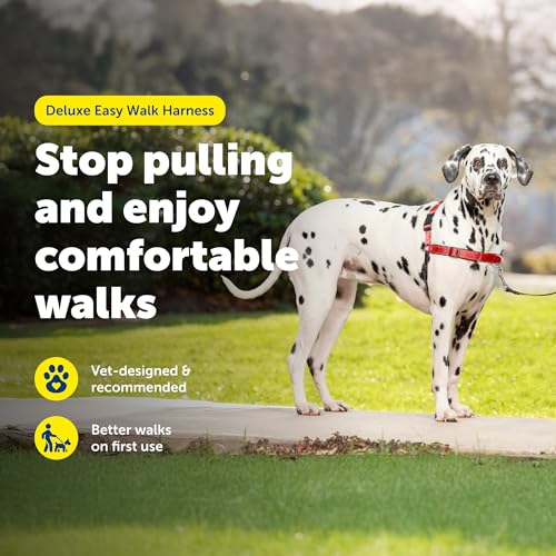 PetSafe Easy Walk Deluxe Dog Harness, No Pull Dog Harness Perfect for Leash & Harness Training Stops Pets from Pulling and Choking on Walks Large, Rose by PetSafe - Image 2