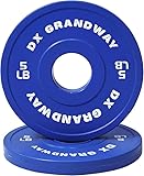 [5LB Pair] DX Grandway Fitness Change Plates 1.25LB 2.5LB 5LB Pairs Support Plates Olympic Plates for Weight Lifting Bumper Weight Plates Steel Rubber Strength Training Weight Plates