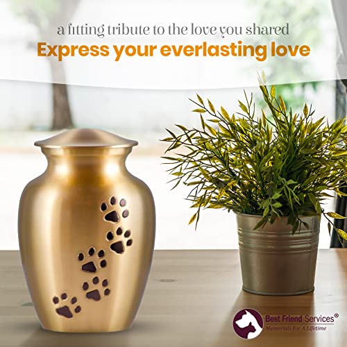 Best Friend Services Pet Urn - Ottillie Paws Legacy Memorial Pet Cremation Urns For Dogs And Cats Ashes Hand Carved Brass Memory Keepsake Urn (Brass, Vertical, Ebony, Medium) #TOP2