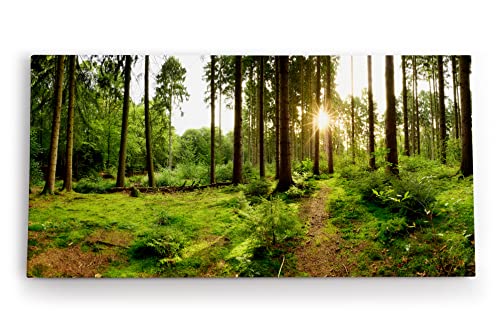 Paul Sinus Tableau mural 120 x 60 cm Forêt d'épicéas Vert Rayons de soleil Nature Arbres, Décorations Murales