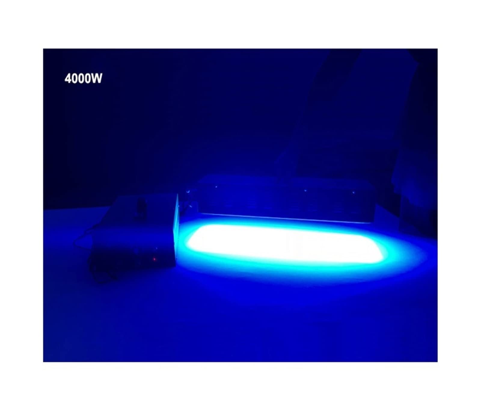 UV Lamp, Lámparas de curado de gel con luces UV de alta potencia de 4000 W, máquina manual, pintura de barniz de longitud de onda, impresión LED 3D de 365NM(1_405nm)