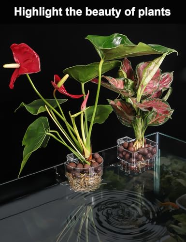 Image of 2 Pack Clear Aquarium Plant Holder Top Hanging Fish Tank Plant Holders Fits up to 0.8in Tank Edges, Aquarium Decor