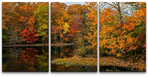 wall26 - 3 Piece Canvas Wall Art - Colorful Autumn