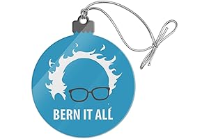 Bern It All Bernie Sanders Meme Hanging Ornament