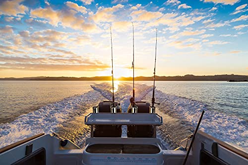 Boat Stainless Steel Fishing Rod Holder 4 Linked Rod Rack Wall Mounted Fishing Pole Holder For Marine Yacht Kayak Camper Rv #TOP7