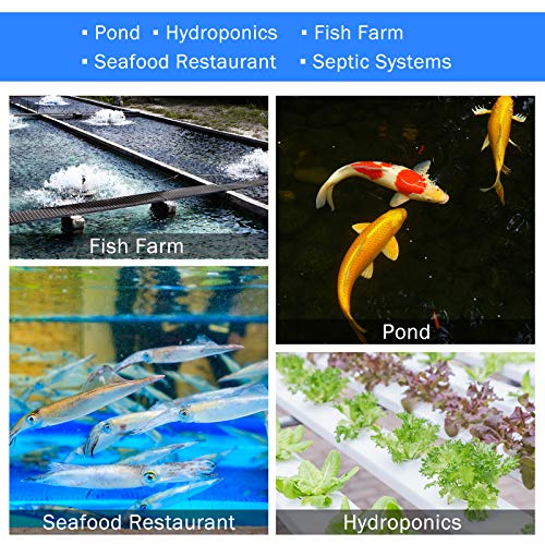 AquaMiracle Linear Air Pump AP-40/AP-60/AP-80/AP-160 for Pond Aeration, Septic, Hydroponic, 635/950/1350/2550GPH, Pond, Waste Treatment, Aquarium, Fish Farm, Seafood Restaurant