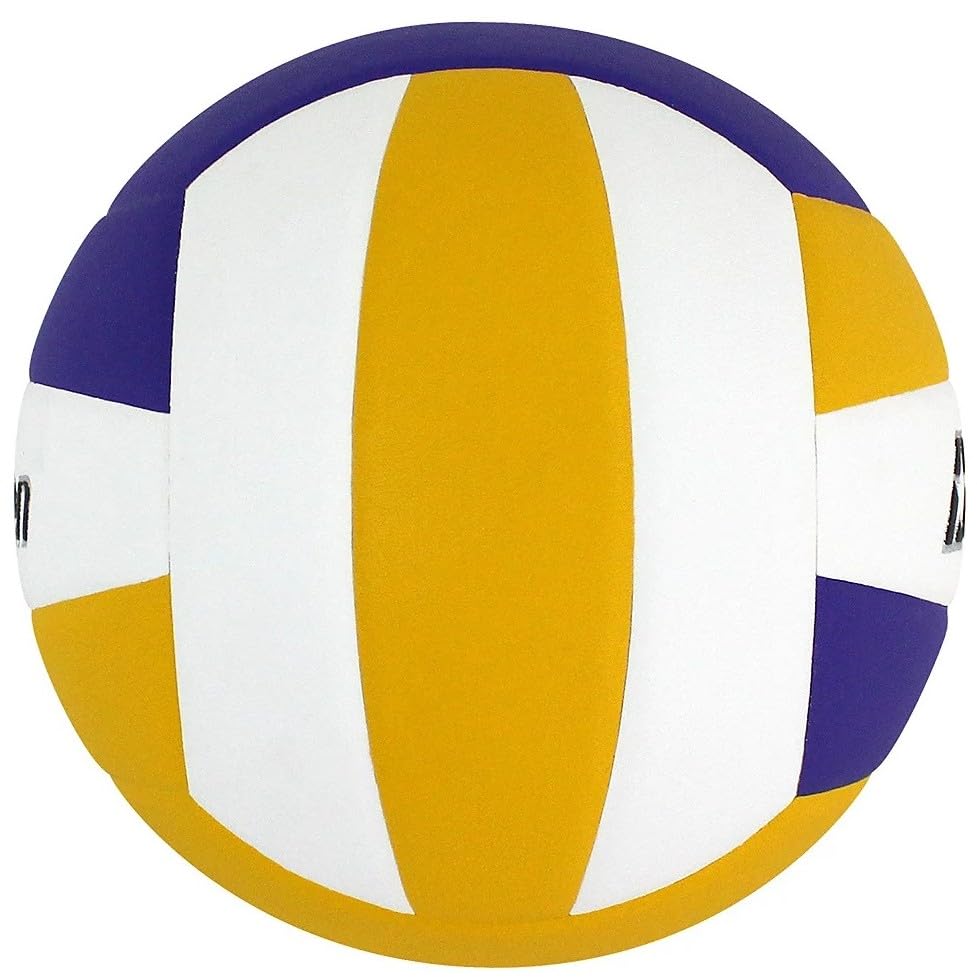 Do It Tennis Baden Lexum Microfiber Indoor Volleyball - NFHS + AVCA Approved