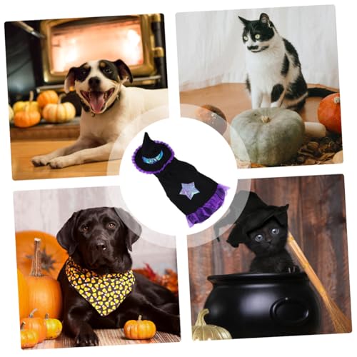 Disfraz de Hechicero para Perros Talla L Halloween miniatura 4