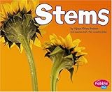 Stems (Plant Parts)