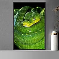 Framed Canvas Wall Art Snake Contemporary Dramatic Hallway Multicolor Photography Reptiles Snakes - 16x24 inches