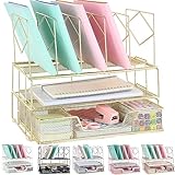gianotter office catalog racks, Desk Organizers and Accessories, Magazine File Holder for Office Supplies Desk Organizer with 5 Vertical Compartments (Gold)