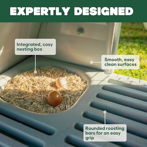 Image of Omlet Eglu Go Chicken Coop | Compact Starter or Croody Coop | Ideal for up to 3 Large Hens or 4 Bantams | Easy to Clean Plastic Chicken House | Climate Controlled for All Weather | Coop only