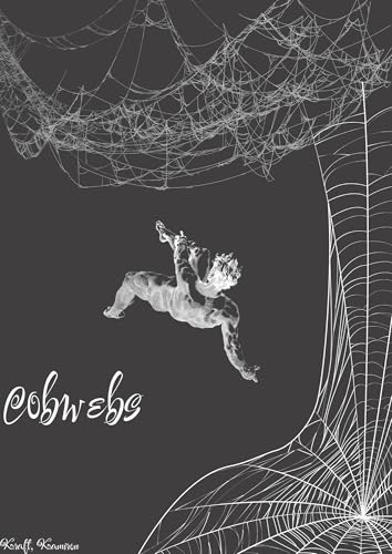 Cobwebs: A Collection