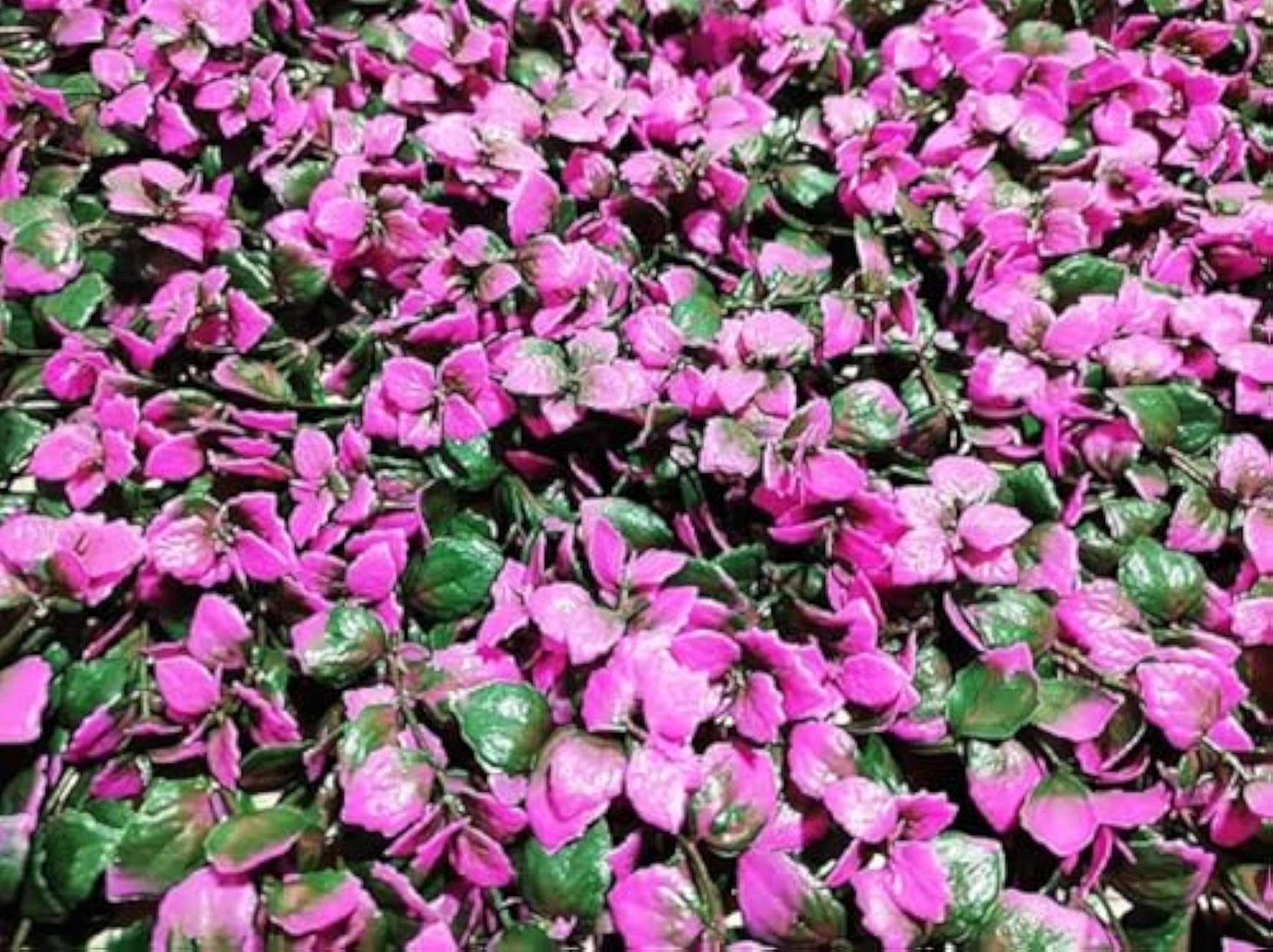 Artificial Wall Grass for Home Decoration, 9 Pcs Set