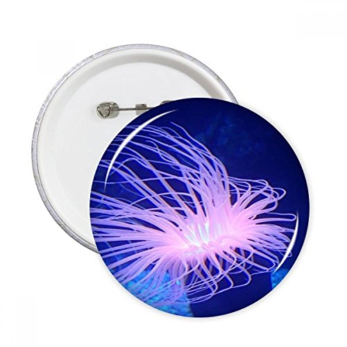 Décoration cadeau 5pcs de badge pins Ocean Bleu pour offrir aux passionnés de science nature