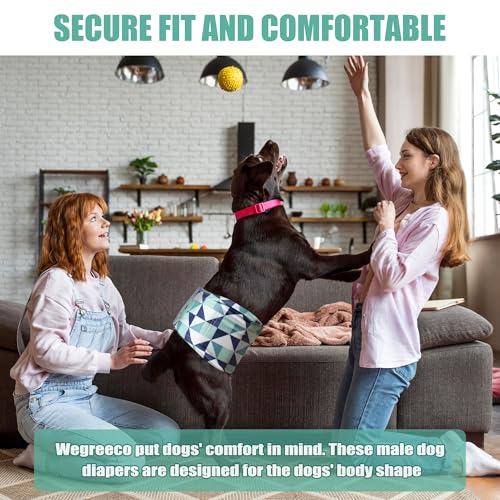 Image of wegreeco Washable Male Dog Diapers (Pack of 3) - Washable Male Dog Belly Wrap (Geometrical Blue Green Coffee, X-Small)