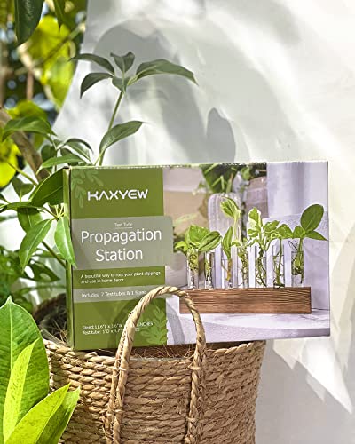 Kaxyew Desktop Plant Terrarium, Plant Propagation Tubes With Wooden Stand 7 Test Tubes Glass Planter For Hydroponic Plant Cuttings Home Office Décor #TOP4