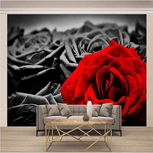 Papier peint panoramique 3D pour masquer imperfections mur rose rouge