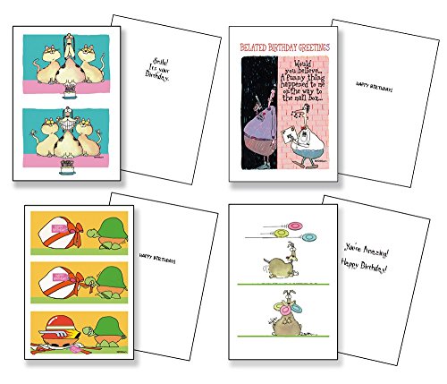Stonehouse Collection |All Occasion Card Assortment - Boxed Set Of 24 | Birthday, Anniversary, Get Well, Congratulations, Thank You | Let Your Friends & Family Know You Care | Made In The Usa #TOP7