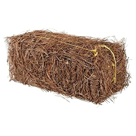 Garden Elements Long Leaf Pine Straw Bale for Mulch, Soil Amendment and Fall Decoration, 24.5" Bale Cover