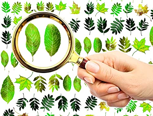 Nail Stickers Decal Transfers (6 Sheets) Flonznail Summer Green Leaves Vintage Watercolor Illustration #TOP9