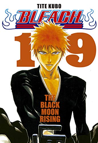 Bleach vol. 19