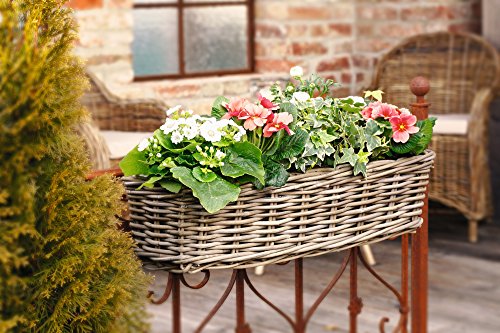 Dekoleidenschaft Rattan Pflanzkasten Koboo Grey groß, grau, Balkonkasten mit Halterung, Balkon-Blumenkasten für Draußen, Pflanzgefäß zum Einhängen am Balkongeländer, Flechtkorb