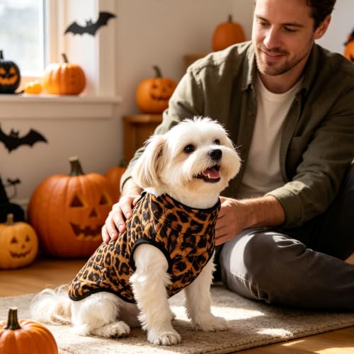 Image of SCENEREAL Halloween Winter Dog Vest Coat with Harness Built in