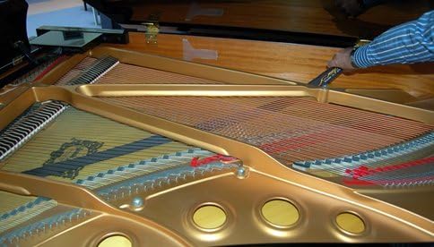 Miniatura 3 de Grand Piano Sweeper Limpiador de tablero de sonido plumero 50" de largo